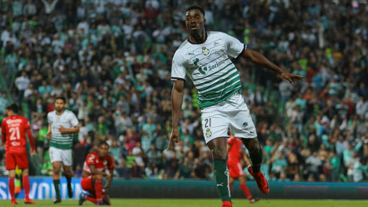 djaniny