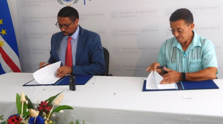 Protocolo Governo de Cabo Verde empresas PEMSMAA