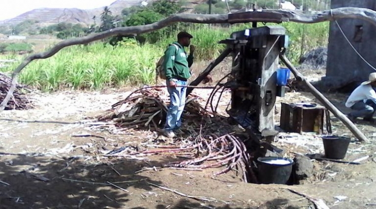 trapiche santo antao 768x426