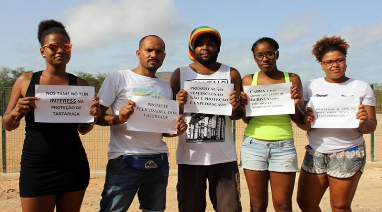 Festival de Tataruga