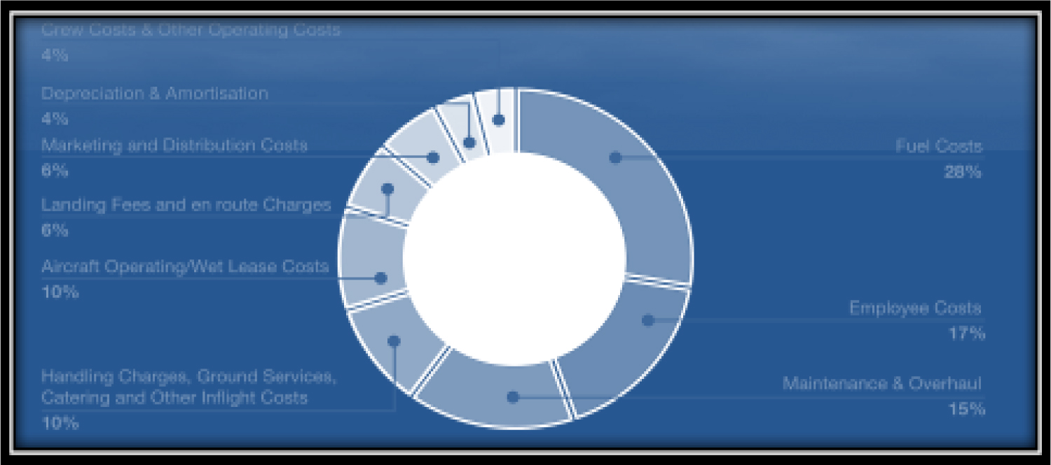 Composicao de Gastos Operacionais da Air Mauricia2017