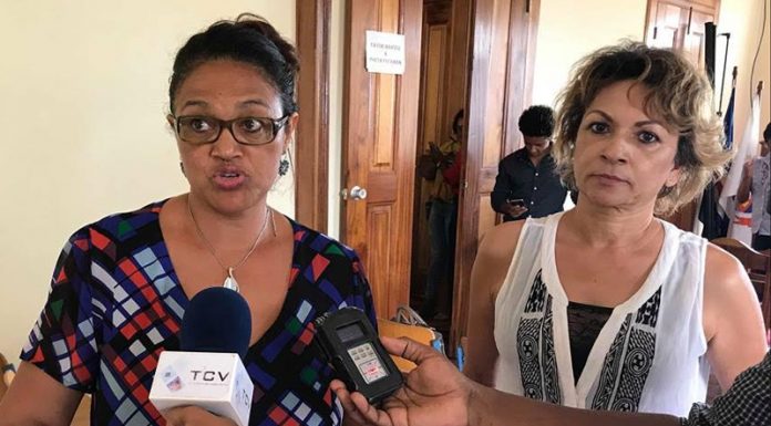 Vera Almeida vice presidente da RMPCV 1 696x385