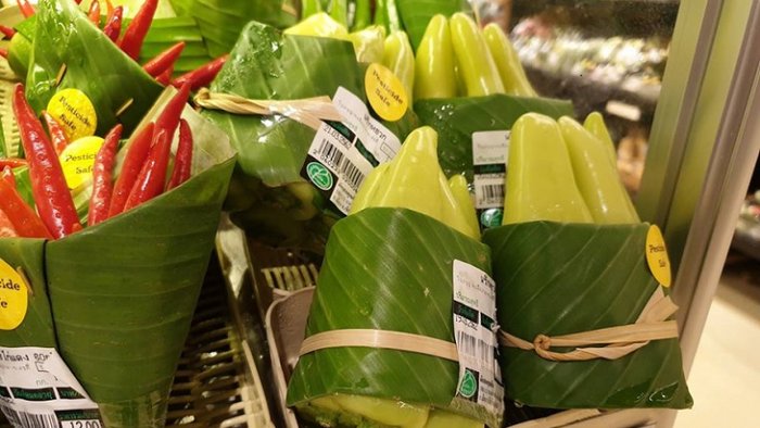 bananeira1 770x433 acf cropped