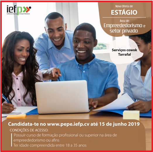 figura 3 estagio iefp final