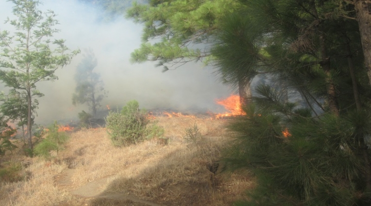 incendio santo antao