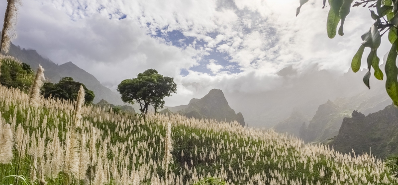Santo Antão - Vale do Paúl